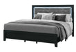 Reid Black Bed with LED