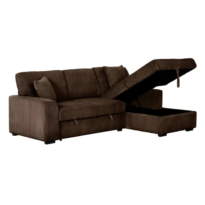 Sectional Sofa with Pullout Bed & Storage